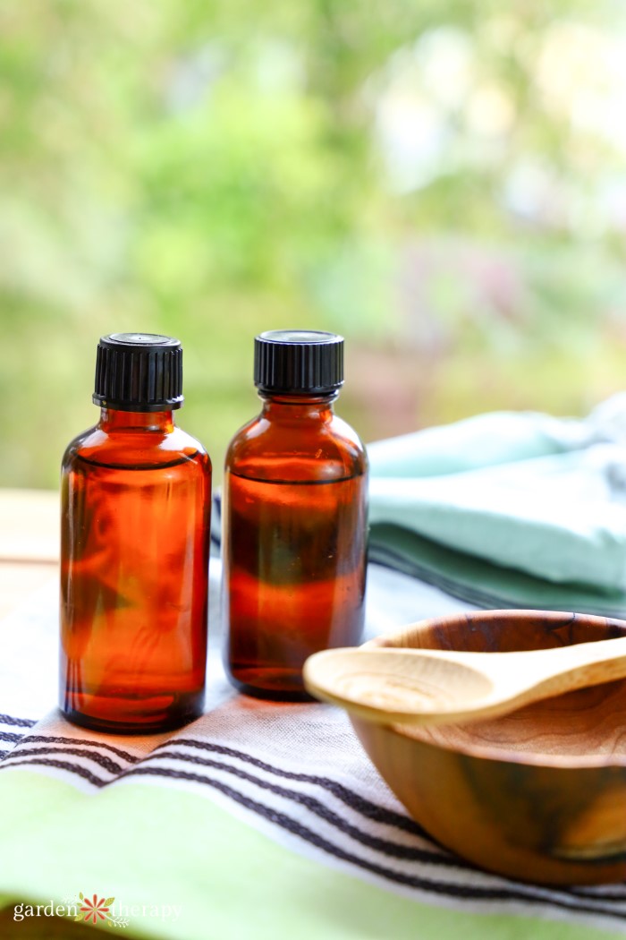 How to Effectively Use Soapy Water for Plants (Without Hurting Them!) Garden Therapy