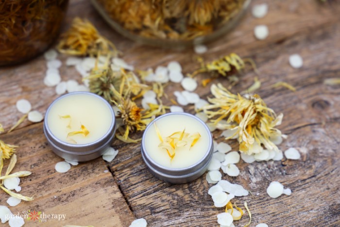 DIY calendula lip balm