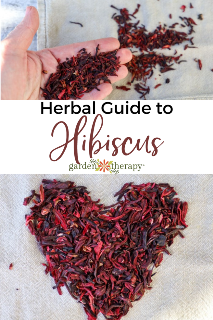 Pin image for herbal guide to hibiscus