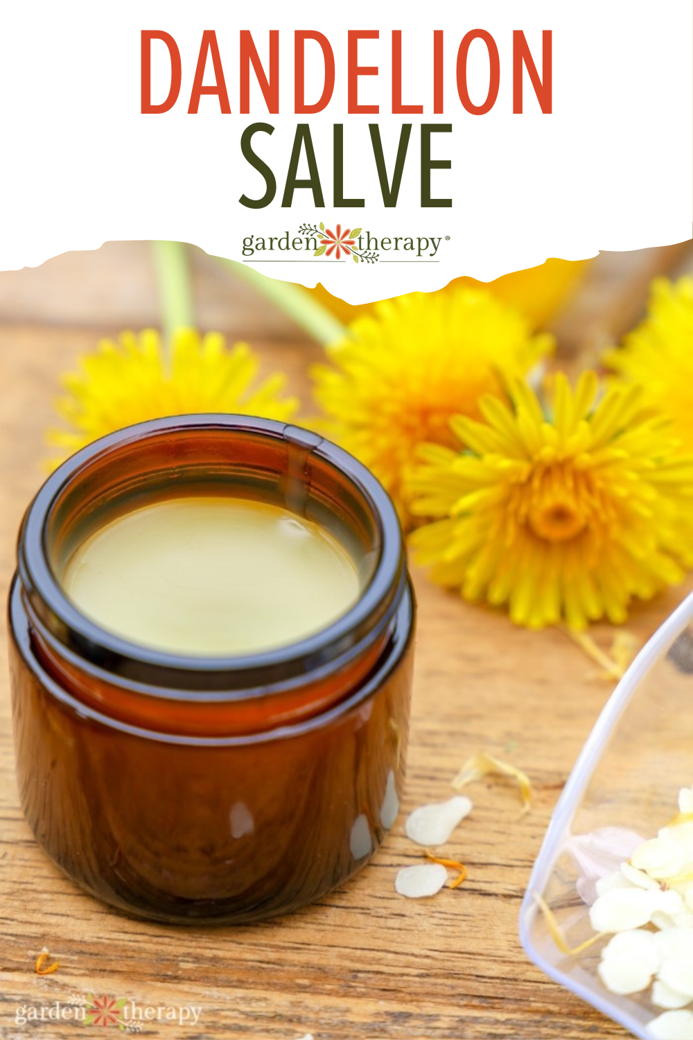 Soothe Dry Skin With a Homemade Dandelion Salve - Garden Therapy