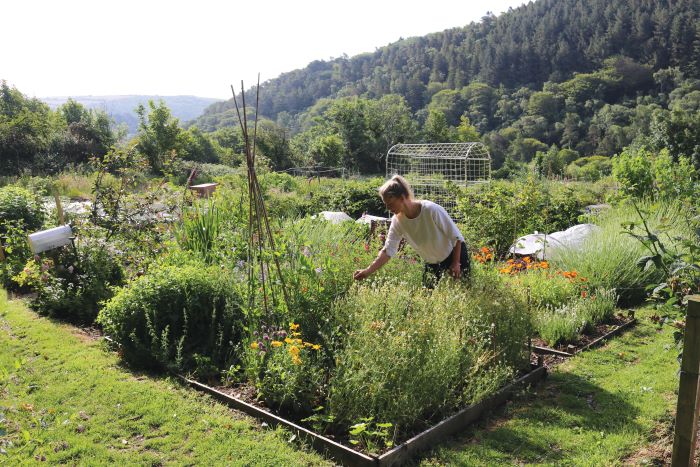 Tanya Anderson gardening