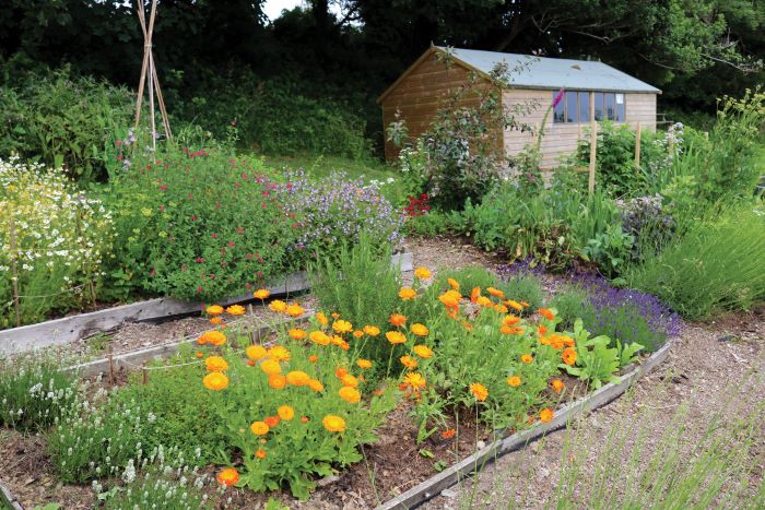 Tanya's garden, one of several featured in A Woman's Garden