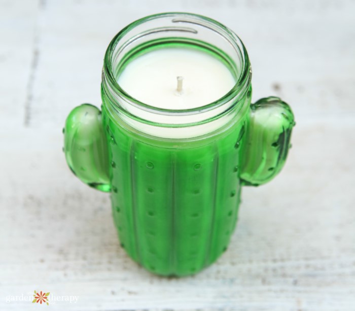 How to Make Soy Candles in Ramekins • Lovely Greens