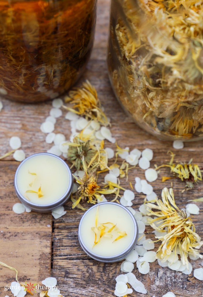 calendula balm recipe