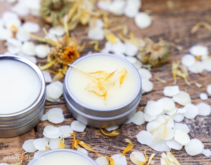 calendula balm