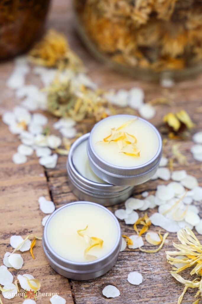 calendula lip balm recipe