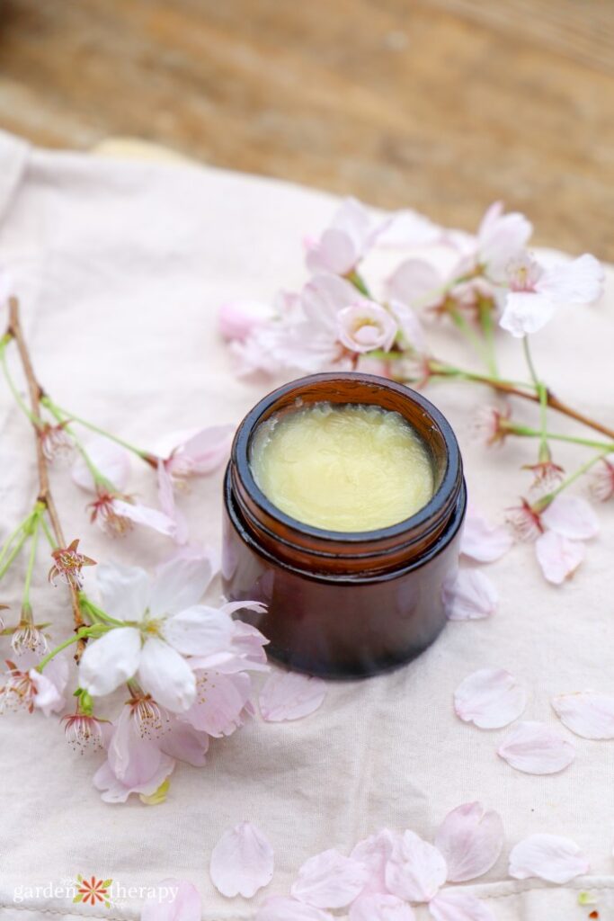 hand salve recipe