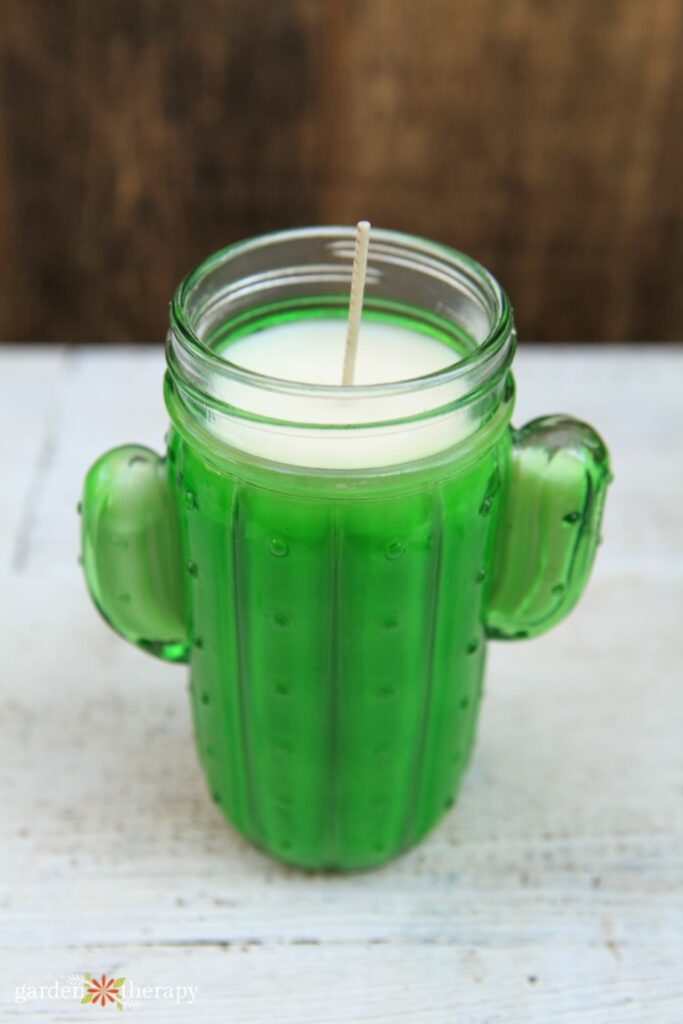 soy candle in a cactus jar
