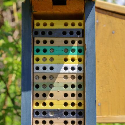 DIY bee house