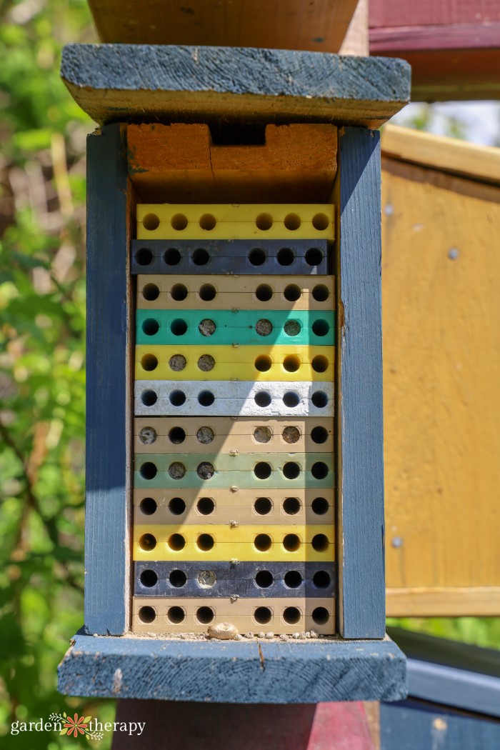 Build A Bee House For Solitary Bees Garden Therapy   DIY Bee House 