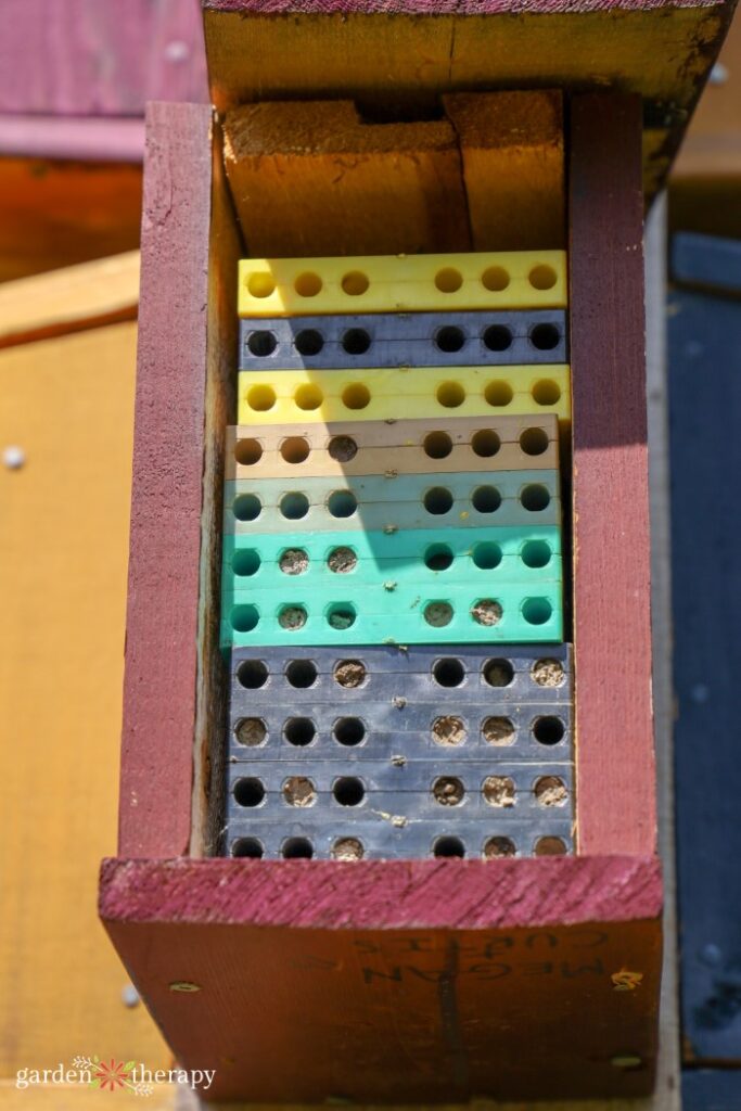 colourful mason bee house