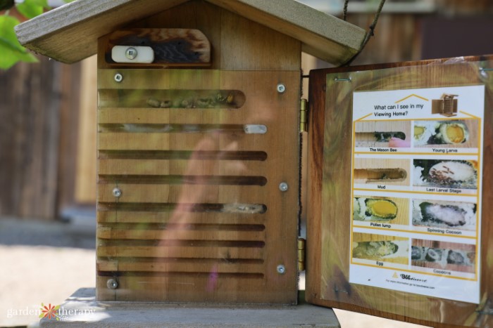 bee house interior