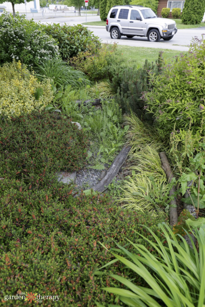 construir un jardín de lluvia