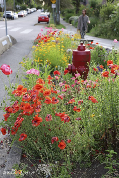 jardin du sentier des papillons dans la communauté