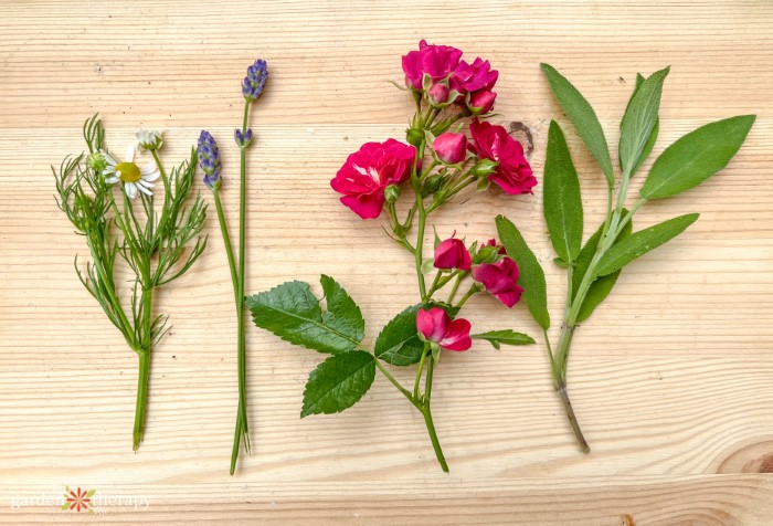 flowering quince, chamomile, sage, and lavender