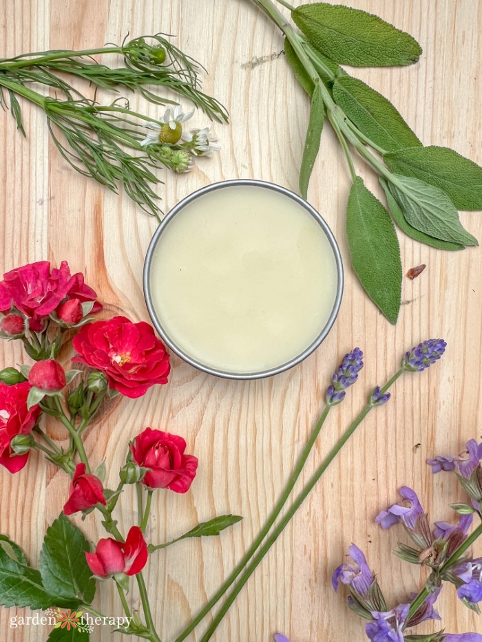 herbal tattoo balm recipe