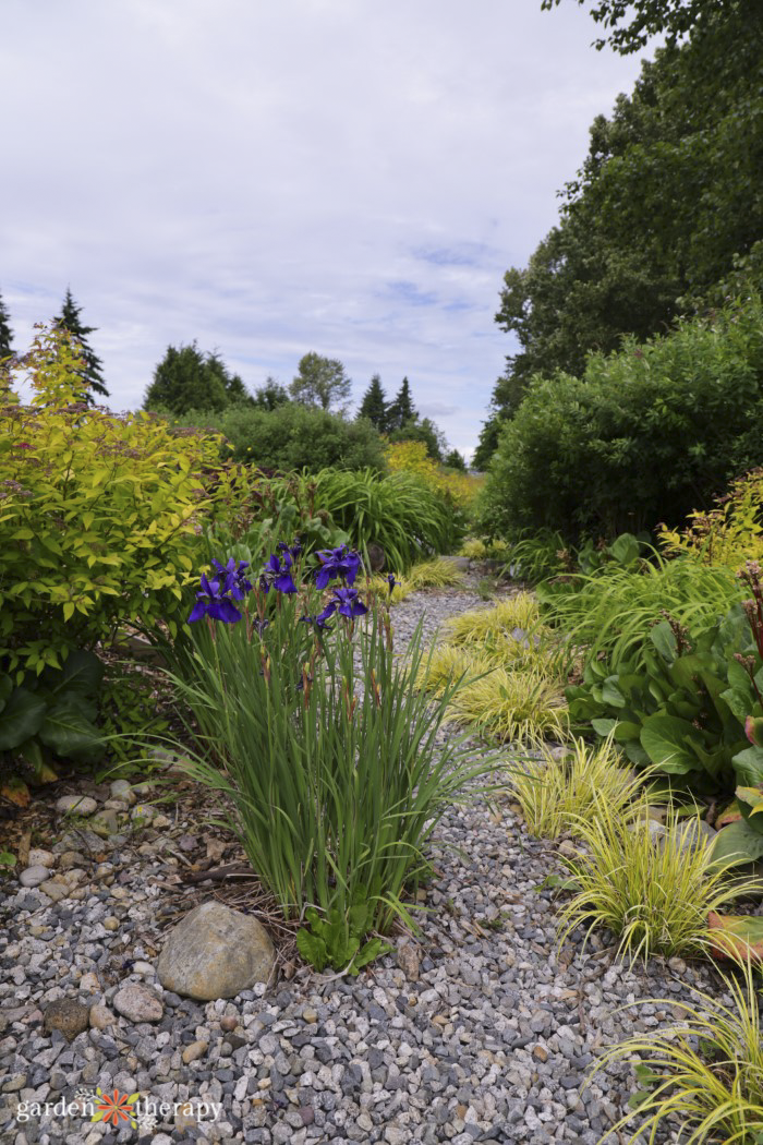 Creating Beautiful And Sustainable Rain Gardens: Design Principles And  Plant List For A Functional Rain Garden 