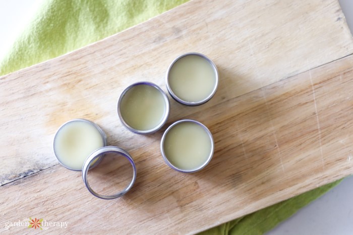 lip balm recipe