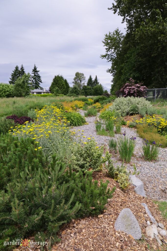 Creating Beautiful And Sustainable Rain Gardens: Design Principles And  Plant List For A Functional Rain Garden 