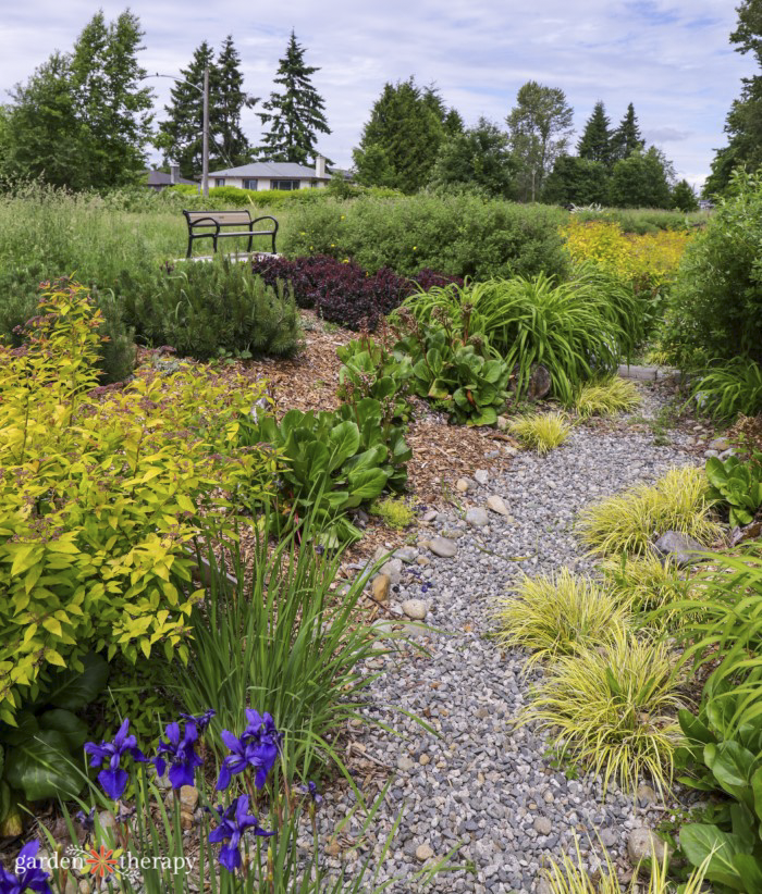 Design a Rain Garden to Redirect and Filter Rainwater - Garden Therapy ...