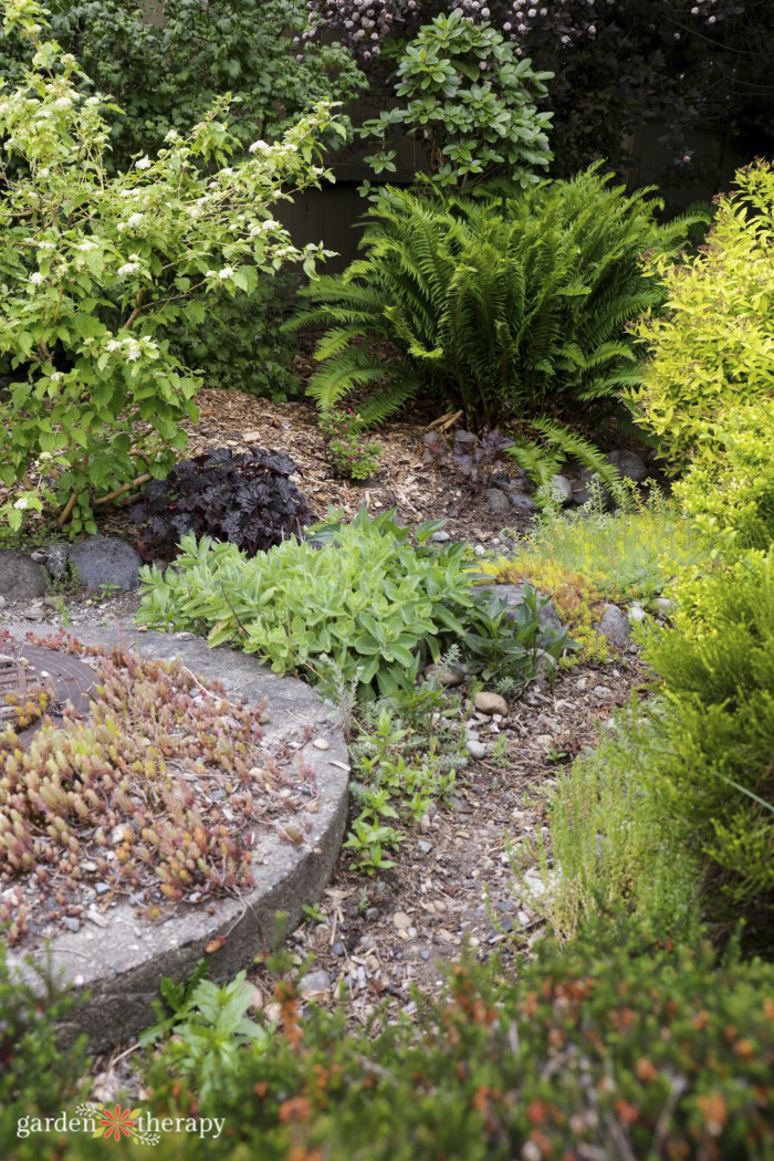 Design a Rain Garden to Redirect and Filter Rainwater - Garden Therapy