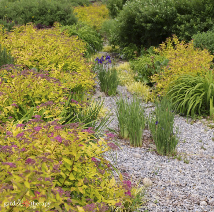 rain garden at an elementary school