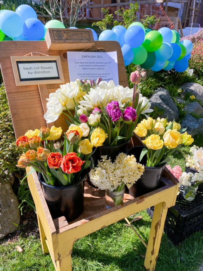 fresh flowers from backyard flower farm surrounded by balloons