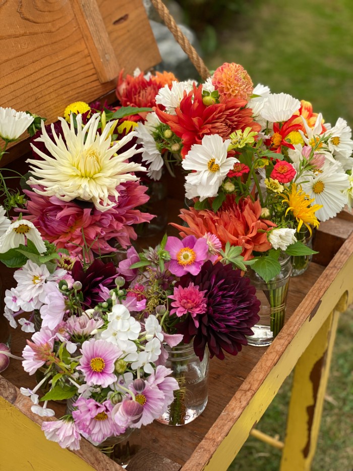 stand de fleurs avec des fleurs fraîches
