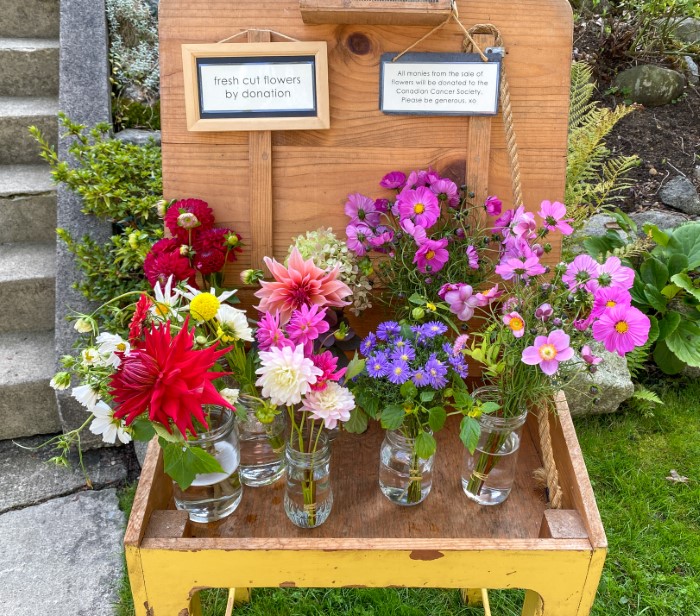 flower cart made from a desk with an open lid