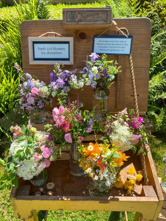 flores frescas cortadas por una donación de la floricultura municipal