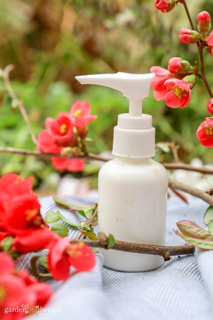 flower lotion with flowering quince