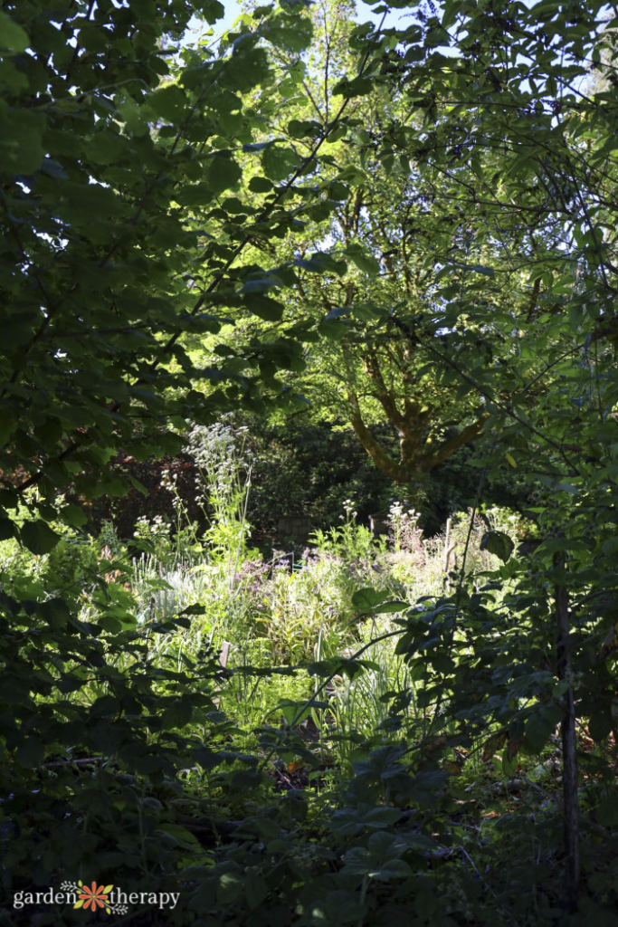 bosque de alimentos