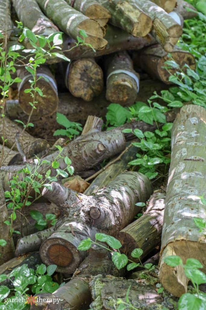 wood branches for the bottom of a raised garden bed