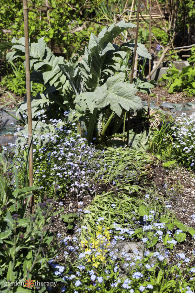 garden with dried plant debris on soil