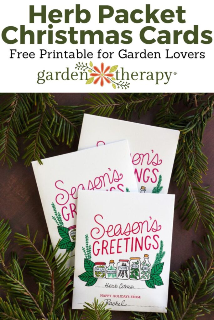 Herb packet Christmas cards sitting on pine leaves