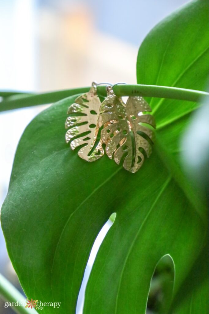 Monstera earrings