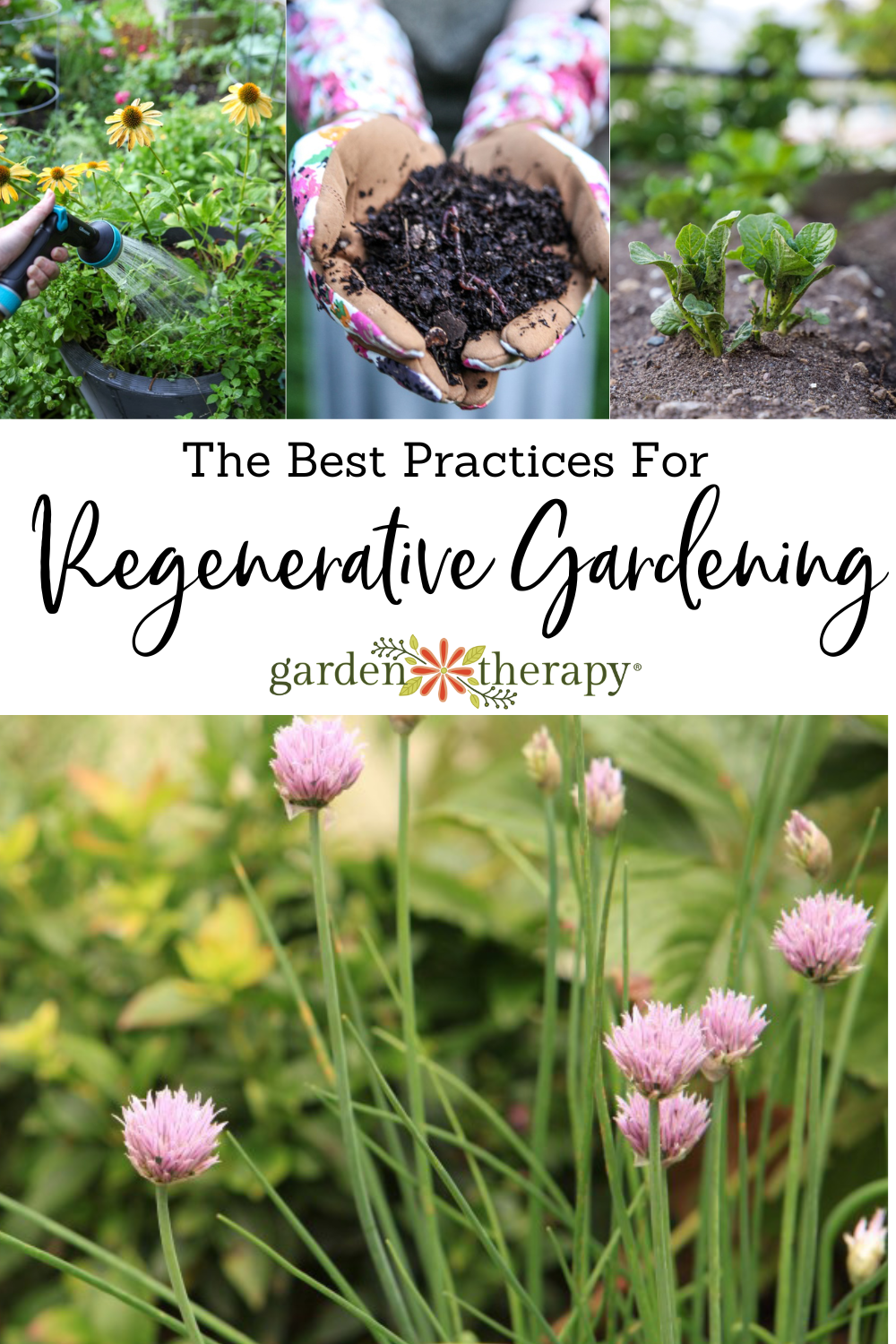 The 25 Best Practices for Regenerative Gardening Garden Therapy