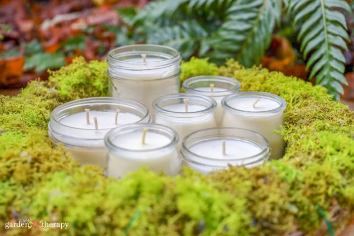 assortment of homemade soy candle in glass jars surrounded by moss