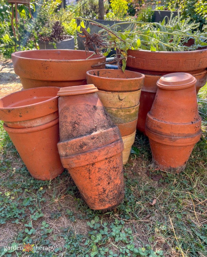 dug up olla pots