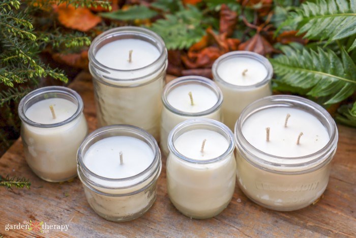 assortment of container candles in glass jars