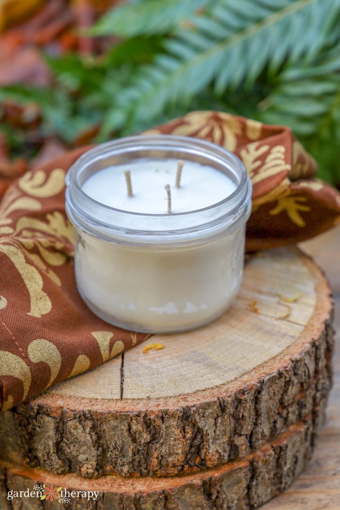 How to Make Simple 3 Wick Candles Garden Therapy