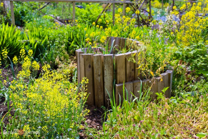 natural regenerative garden