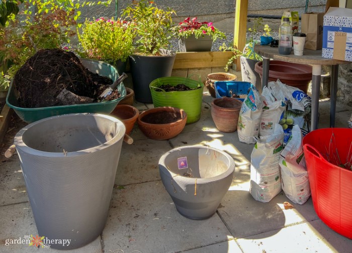 empty plastic pots ready for planting