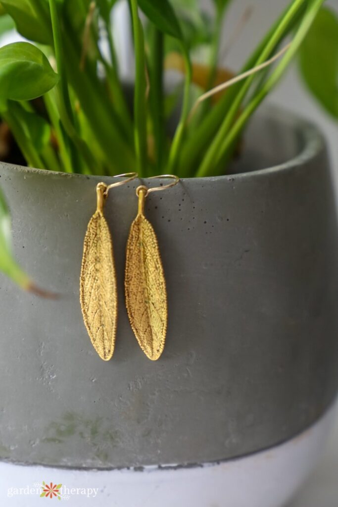 sage wisdom earrings