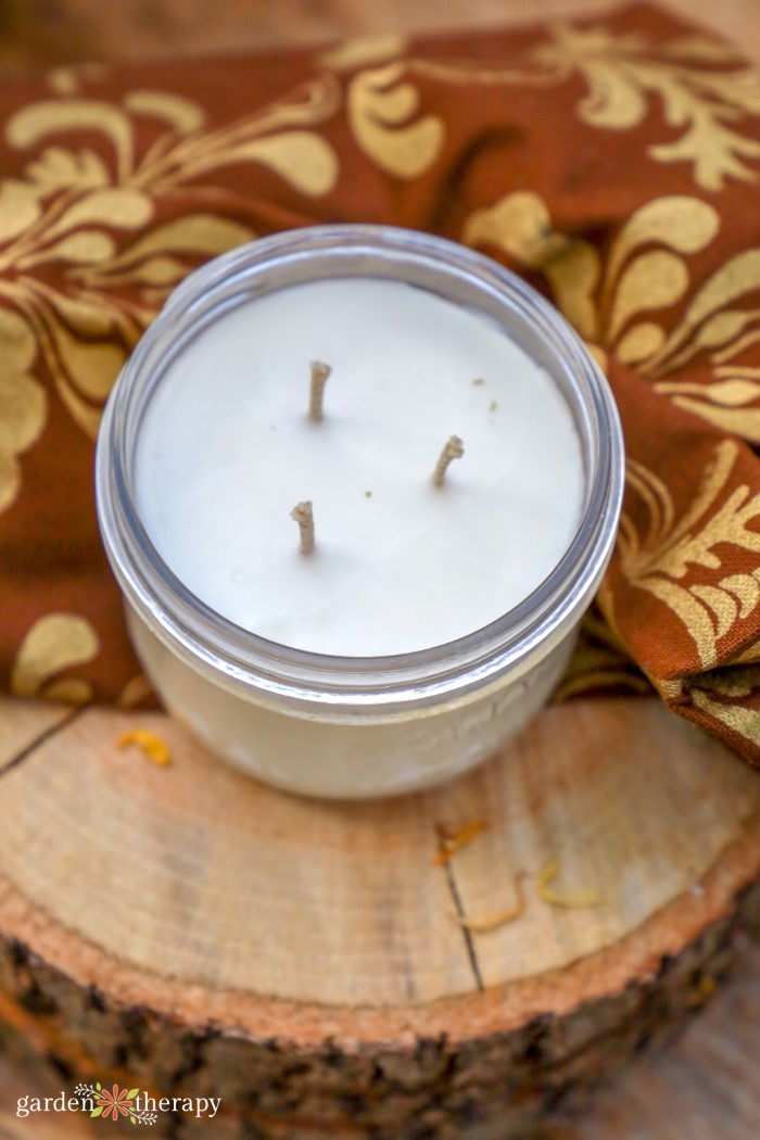 How to Make Simple 3 Wick Candles Garden Therapy