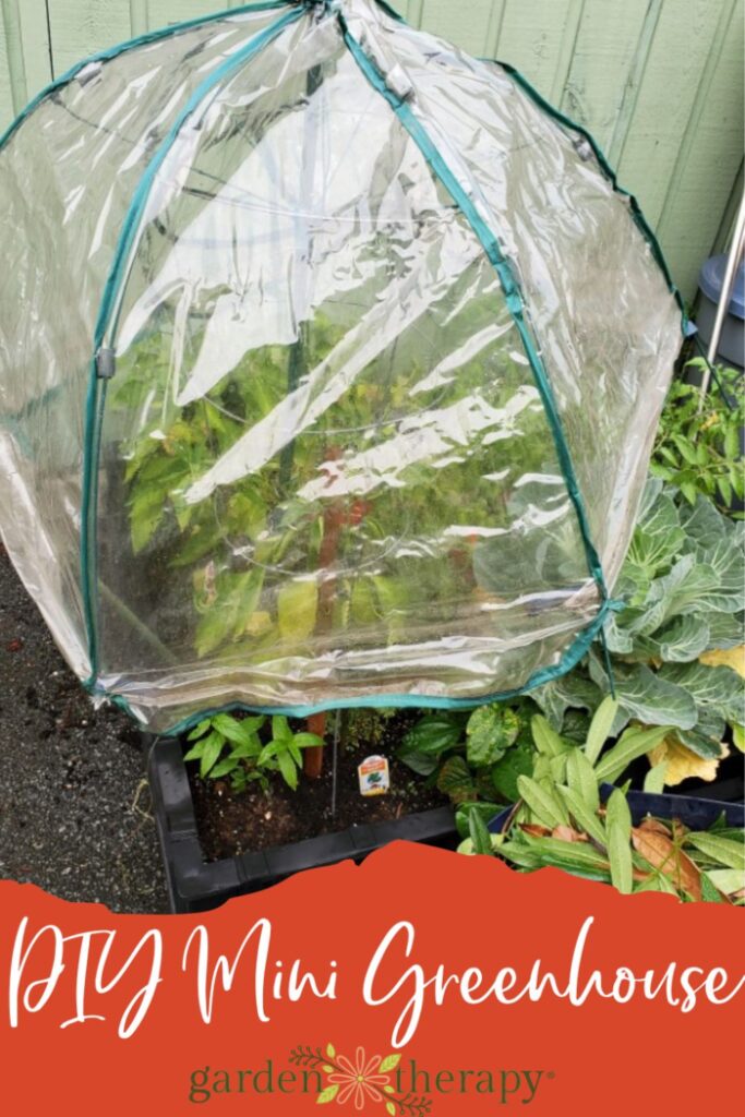 Diy mini greenhouse growing vegetables in a home garden.