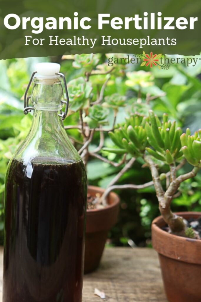 Pin image for DIY organic fertilizer with a glass bottle of organic fertilizer in front of houseplants