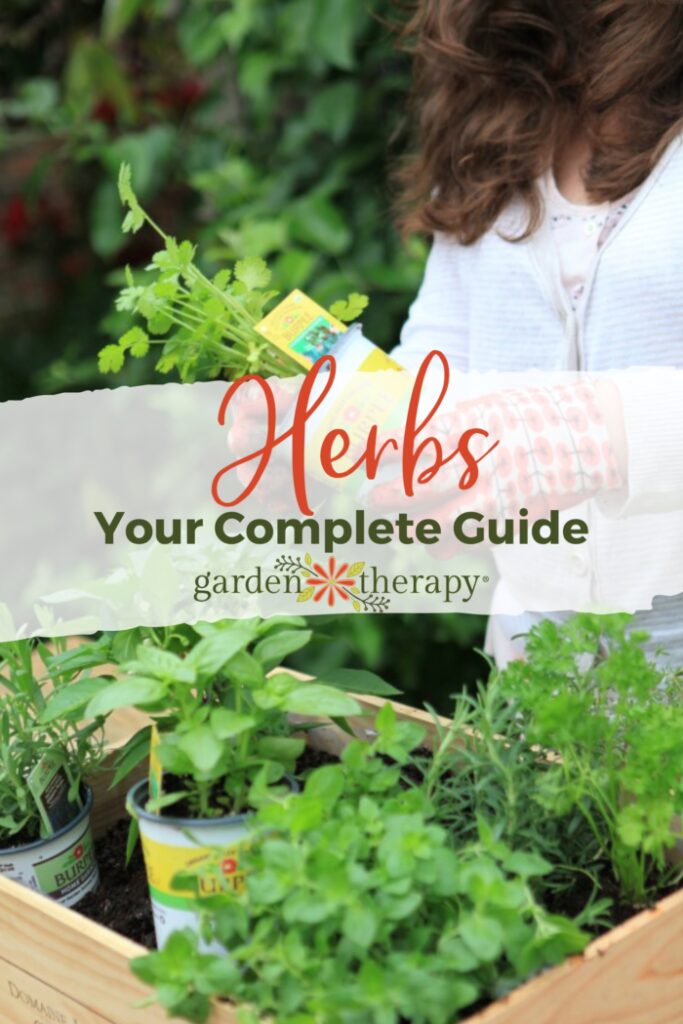Pin image for your complete guide on herbs and what are herbs, including an herb garden image.