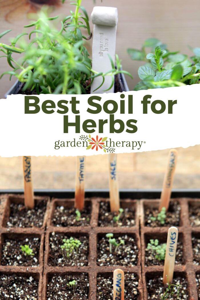The Best Soil for Herbs—Grow a Fruitful Herb Garden Garden Therapy