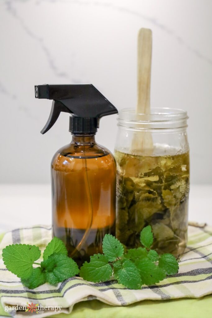 lemon balm DIY cleaning spray